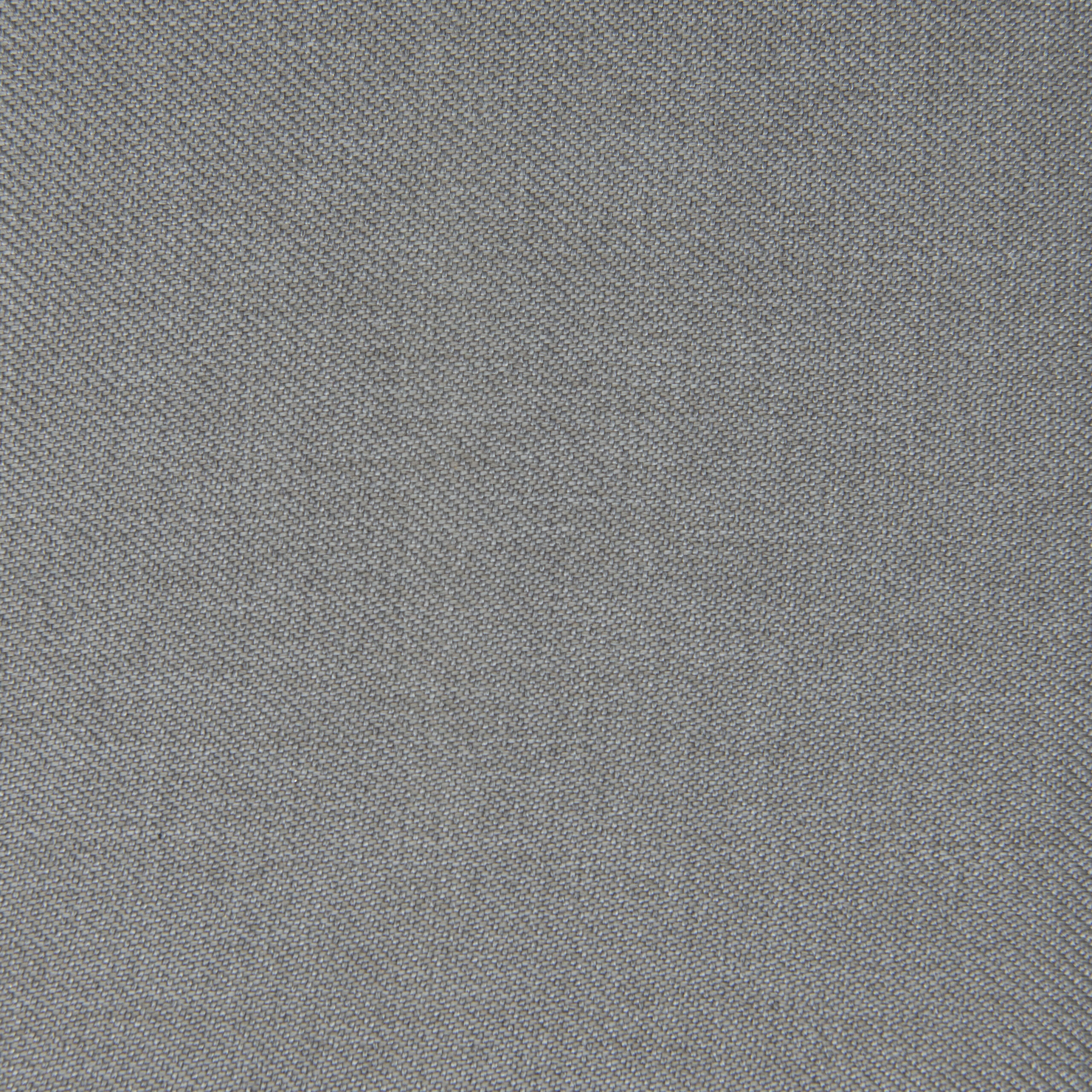 pintail grey scaled
