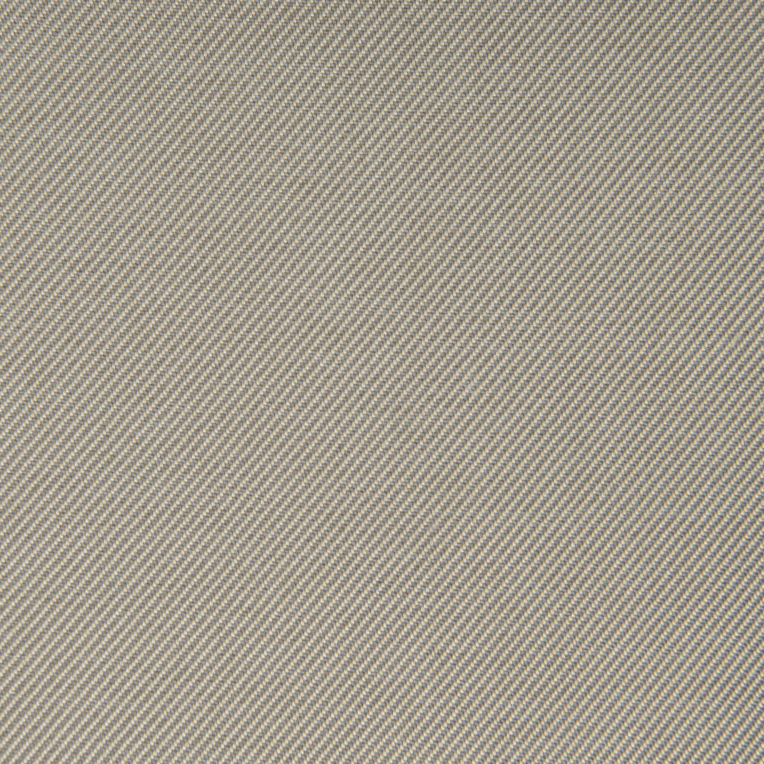 pintail taupe scaled